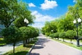 Beautiful park alley in summer