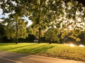 Beautiful park in Bangkok at the evening Royalty Free Stock Photo