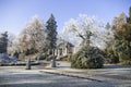 Beautiful park covered in fresh snow