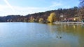 Beautiful park lake with trees reflected in cthe crystaline water