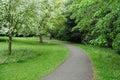 Beautiful Park Path with a Lawn and Leafy Trees Royalty Free Stock Photo