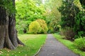 Beautiful Park Pathway Royalty Free Stock Photo