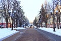 Beautiful park with promenade path and trees covered by snow. Empty city park Royalty Free Stock Photo