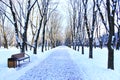 Beautiful park with promenade path and trees covered by snow. Empty city park Royalty Free Stock Photo