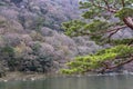 Beautiful park with a river in Japan with blooming nature