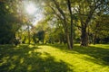 Beautiful park in public park with green grass field, green tree plant and a party cloudy blue sky