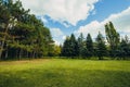 Beautiful park scene in public park with green grass field, green tree plant and a cloudy blue sky