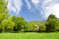 Beautiful park trees over blue sky Royalty Free Stock Photo