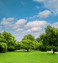 Beautiful park trees over cloudy blue sky. Formal garden Royalty Free Stock Photo