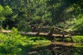 Beautiful park in Tsikhisdziri resort, nature, Adjara