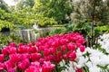 Beautiful Park With Tulip Beds, Green Lawn And Pond In Spring