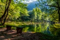 Beautiful park Vrelo Bosne