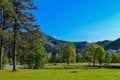 Beautiful park for walking. Green lawn, trees and blue sky. Montenegro. Royalty Free Stock Photo