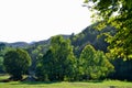 Beautiful park for walking. Green lawn, trees and blue sky. Montenegro. Royalty Free Stock Photo