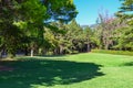 Beautiful park for walking. Green lawn, trees and blue sky. Montenegro. Royalty Free Stock Photo