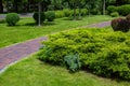A beautiful park with walking paths for walking among green plantings of trees and bushes. Royalty Free Stock Photo