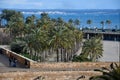 Park in front of the cathedral in Palma de Mallorca Royalty Free Stock Photo