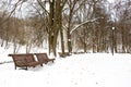 Beautiful park in winter after snowfall with trees, old street lamps and benches covered by snow Royalty Free Stock Photo