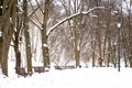 Beautiful park in winter after snowfall with trees, old street lamps and benches covered by snow Royalty Free Stock Photo