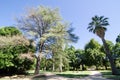 Beautiful parkland at Albury Botanic garden in New South Wales, Australia.