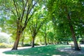 Beautiful parkland at Albury Botanic garden in New South Wales, Australia.