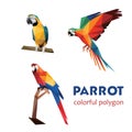 Beautiful Parrot Bird Set in polygonal. Abstract parrot Collection Illustration. Polygonal Parrot Illustration Royalty Free Stock Photo