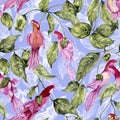 Beautiful parrot flowers on climbing twigs on lilac background. Seamless floral pattern. Watercolor painting. Hand painted