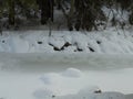 Beautiful partially transparent ice on frozen river under forest.