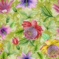 Beautiful passion flowers passiflora on climbing twigs with leaves and tendrils on green background. Seamless floral pattern.