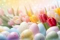 Beautiful pastel colored easter eggs with tulip spring flowers Royalty Free Stock Photo