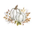 Beautiful pastel pumpkins floral arrangement. Watercolor hand-painted white pumpkin, flowers, leaves Royalty Free Stock Photo