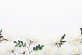 Beautiful pastel rose flowers and leaves on white table top view. Floral border. Flat lay style. Royalty Free Stock Photo