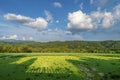 Beautiful pastoral scenery of distant mountains and fields in summer