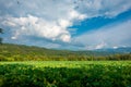 Beautiful pastoral scenery of distant mountains and fields in summer