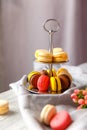 Beautiful pastry. cakes and macaroons. Sweet holiday buffet with cupcakes, cakes and other sweet desserts