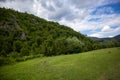 Beautiful pasture with green grass on a mountain on a sunny summer day