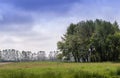 Beautiful pasture in Michigan USA