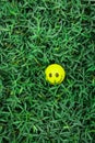 A beautiful patern of green plant with a smiley in it which make super background, pattern, grass, background, wallpaper