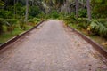 A beautiful path and driveway along the coconut tree plantation Royalty Free Stock Photo