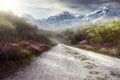 Beautiful Path Royalty Free Stock Photo