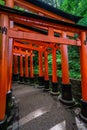 Beautiful path at Fushimi Inari shrine lined with thousands of Torii gates at Kyoto, Japan Royalty Free Stock Photo