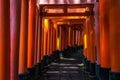 Beautiful path at Fushimi Inari shrine lined with thousands of Torii gates at Kyoto, Japan Royalty Free Stock Photo