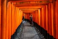 Fushimi Inari shrine, Kyoto, Japan Royalty Free Stock Photo