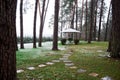 Beautiful path in the park with a gazebo between the pines Royalty Free Stock Photo