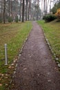 Beautiful path in the park with lanterns between the pines Royalty Free Stock Photo
