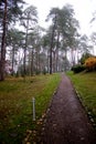 Beautiful path in the park with lanterns between the pines Royalty Free Stock Photo