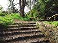 Beautiful Path San Francisco