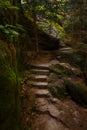 Beautiful path with stairs steps carved in sandstone leading through old forest located in Adrspach, Broumov Czechia Royalty Free Stock Photo