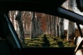 beautiful path of trees landscape at sunset. View from inside a car. Nature and travel concept Royalty Free Stock Photo