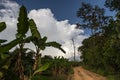 Beautiful path in tropical landscape with amazing cloudy blue sky, huge white cloud, Chiang Mai, North Thailand Royalty Free Stock Photo